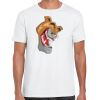 Mens Softstyle Tee Shirt Thumbnail